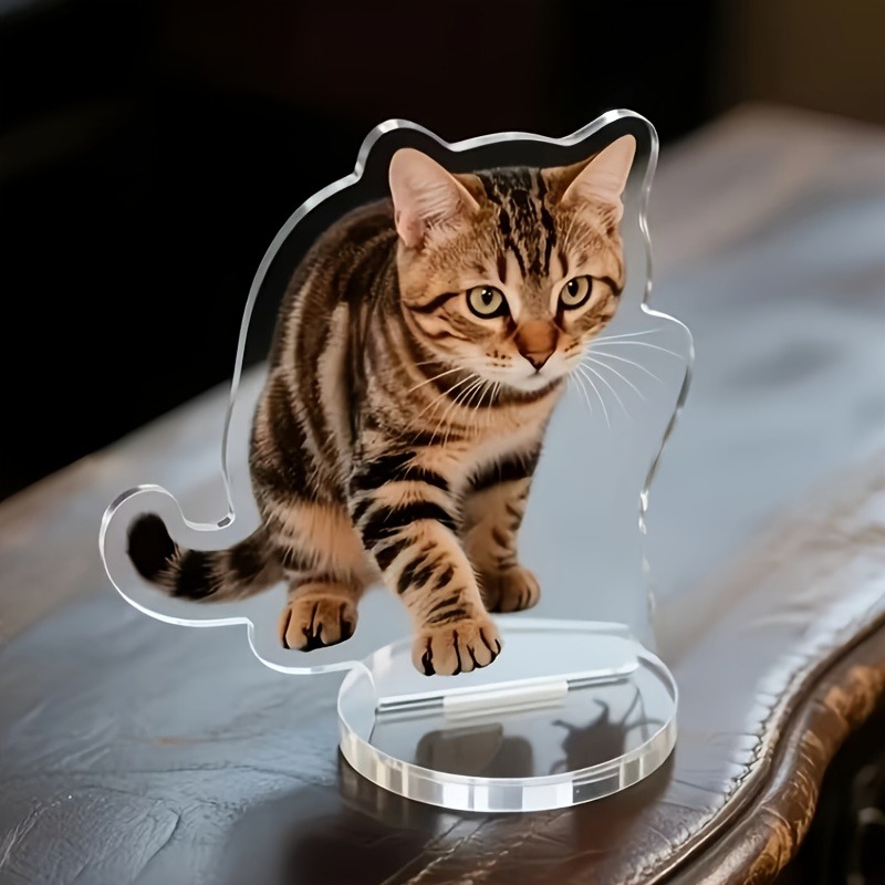 Espositore da Tavolo in Acrili - Pet Portrait Custom recensione e prezzo